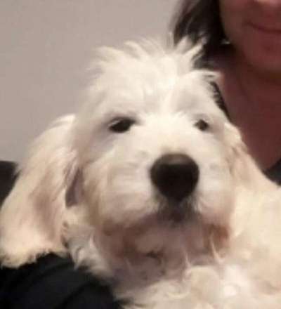 Lieblingsbild-Beitrag-Bild