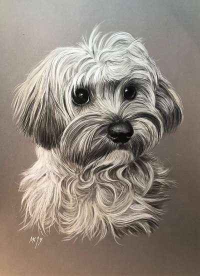 Die Dogorama Kalender Challenge Titelbild-Beitrag-Bild