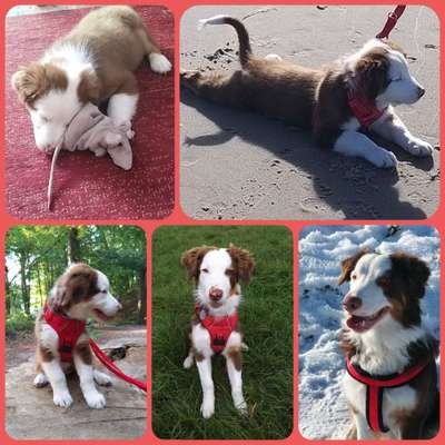 23. Collagen-Challenge: Portraits-Beitrag-Bild