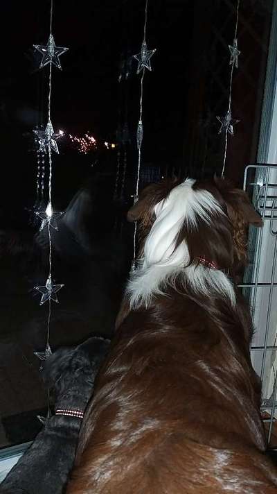 120. Fotochallenge-Beitrag-Bild