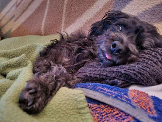 Fotochallange Nr. 57     PORTRÄT.   Beendet!!!!!!!!-Beitrag-Bild