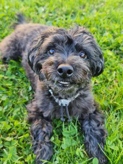 FOTOCHALLENGE 86-Beitrag-Bild