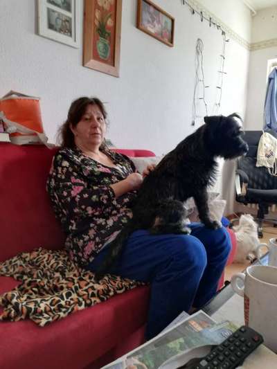 Die Dogorama Kalender Challenge Titelbild-Beitrag-Bild