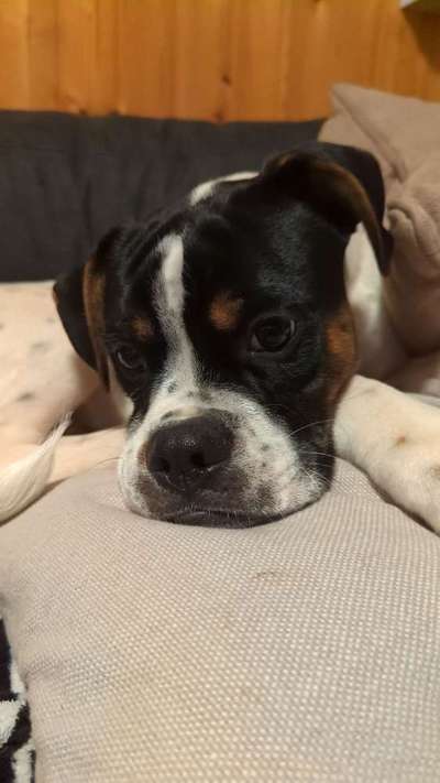 Fotowettbewerb-Beitrag-Bild