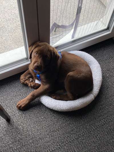 Fotochallange Nummer 5-Beitrag-Bild