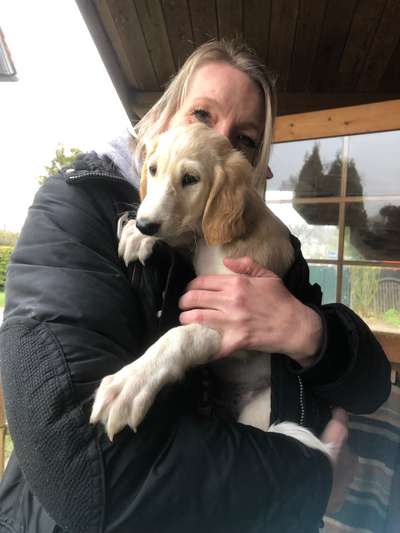 Welpen Bilder !-Beitrag-Bild