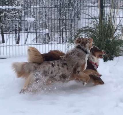 Challenge Nr. 15
Spiel im Schnee-Beitrag-Bild