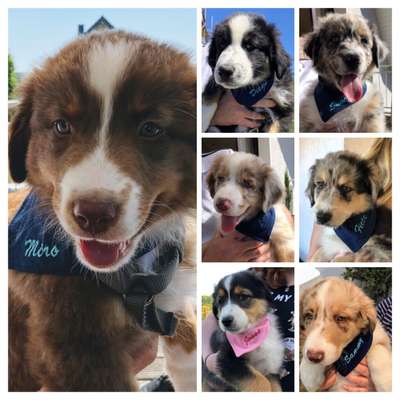 Sie werden so schnell erwachsen ...-Beitrag-Bild