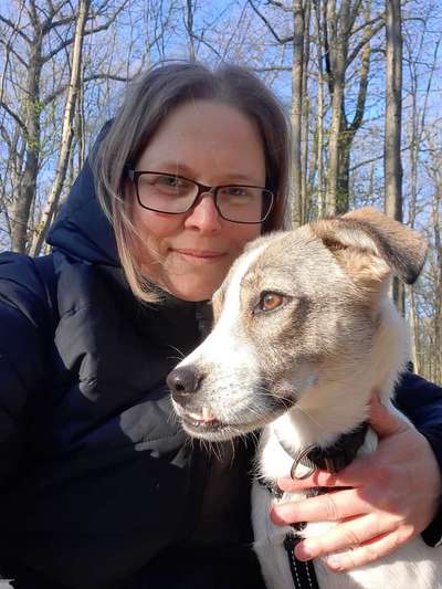 Hundetreffen-Bieten Hunde Urlaubsbetreuung-Bild