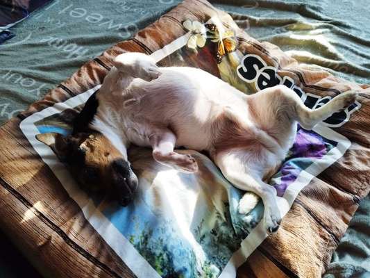 Lustige Grimassen & verrückte Posen-Beitrag-Bild