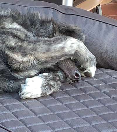 CHALLENGE NR. 34 - Liege-/Schlafpositionen-Beitrag-Bild