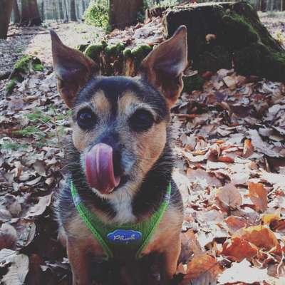 Zeigt mir eure Lieblingsfotos ♡♡-Beitrag-Bild