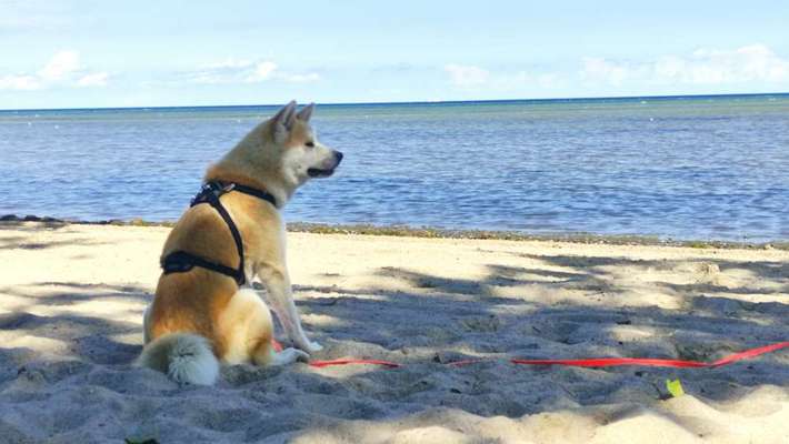 Fotochallenge Nr.100 Urlaubsimpressionen-Beitrag-Bild