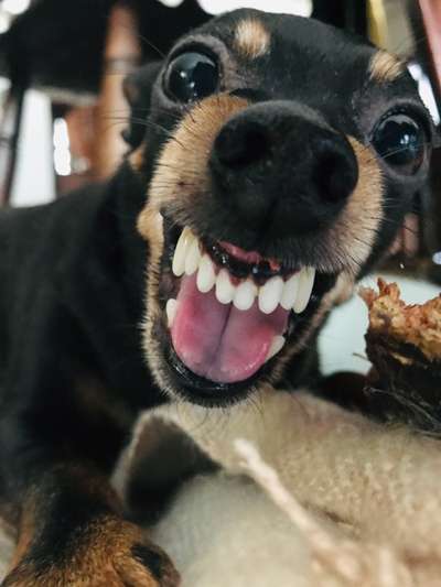 Lieblingsbild :D-Beitrag-Bild