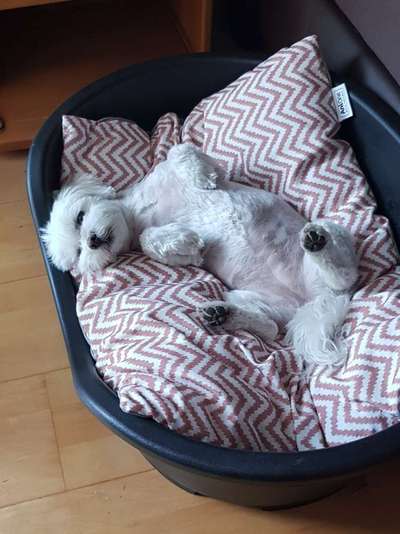 Die unbequemsten und lustigsten Schlafpositionen-Beitrag-Bild