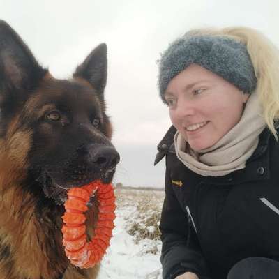 Hundetreffen-Treffen &: Spielen