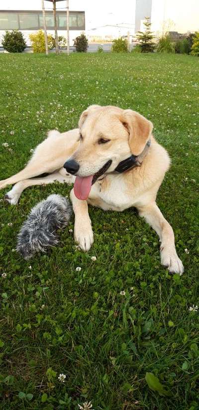 Handyfoto challenge Nr. 13: Waschlappen raus!-Beitrag-Bild