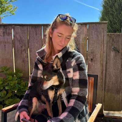 Hundetreffen-Gemeinsam in Ruhe spazieren & austauschen-Bild