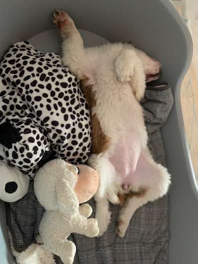 CHALLENGE NR. 34 - Liege-/Schlafpositionen-Beitrag-Bild