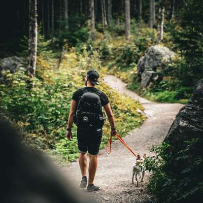 Hundetreffen-Gassi-Buddy’s im Umkreis Hann. Münden/Witzenhausen-Bild