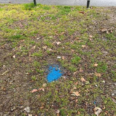 Giftköder-Blaue Körner, Achtung Gift!-Bild