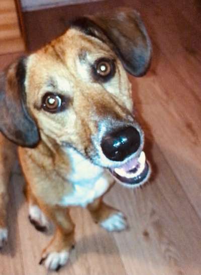 Lieblingsbild :D-Beitrag-Bild