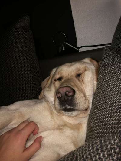 Die unbequemsten und lustigsten Schlafpositionen-Beitrag-Bild