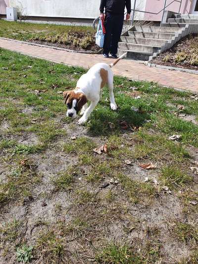 Zeigt mir die lustigsten Schlafpositionen eurer Fellnasen-Beitrag-Bild