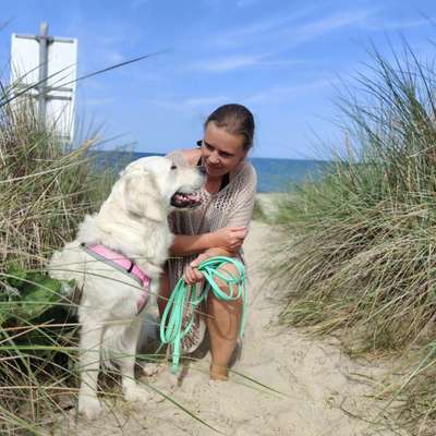 Hundetreffen-Hundetraining in Wängi-Profilbild