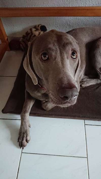 Lieblingsbild-Beitrag-Bild