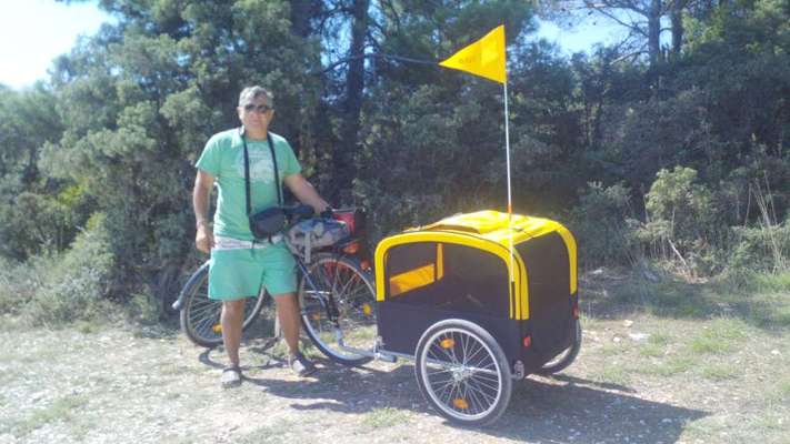 Fahrradanhänger? Lastenrad?-Beitrag-Bild