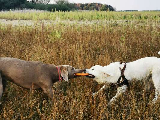 Fotochallenge Nr. 67: Euer Lieblingsbild-Beitrag-Bild