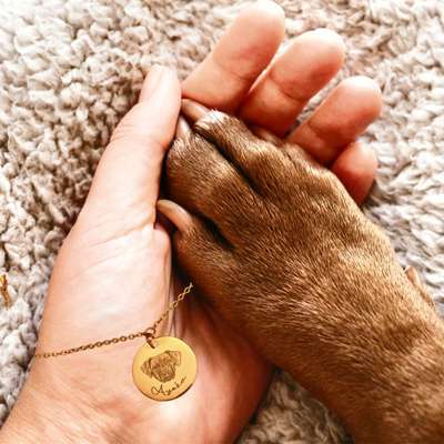 Giftköder-Armband  mit graviertem Hundeportrait-Bild