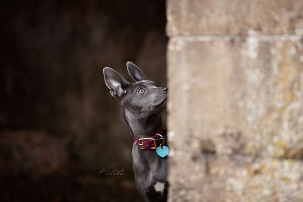 Austausch zur Fotografie-Beitrag-Bild