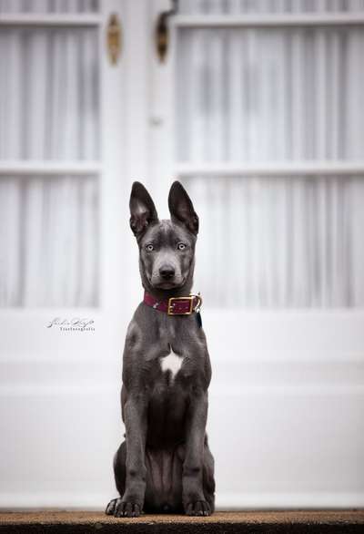 Austausch zur Fotografie-Beitrag-Bild