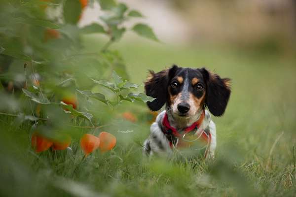 Austausch zur Fotografie-Beitrag-Bild