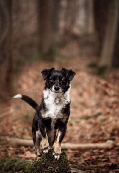 Austausch zur Fotografie-Beitrag-Bild