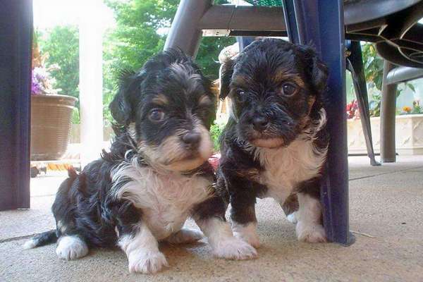 Foto Challenge 3-Beitrag-Bild