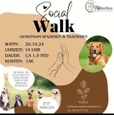 Hundetreffen-Social Walk GEMEINSAM SPAZIEREN UND TRAINIEREN-Bild