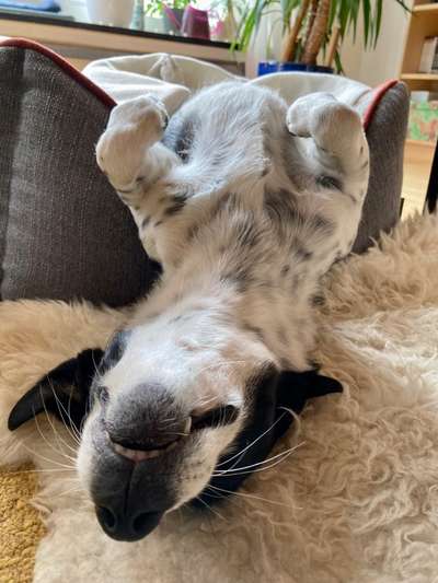 4. Lustiger Schlafplatz-Beitrag-Bild