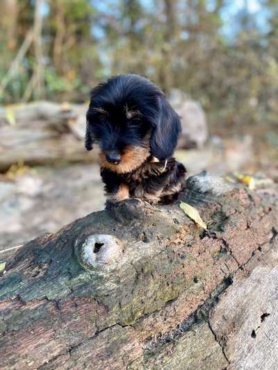 Foto Challenge 3-Beitrag-Bild