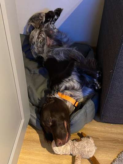 Die unbequemsten und lustigsten Schlafpositionen-Beitrag-Bild