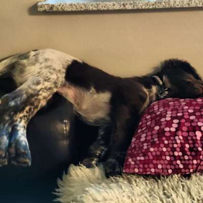 Die unbequemsten und lustigsten Schlafpositionen-Beitrag-Bild