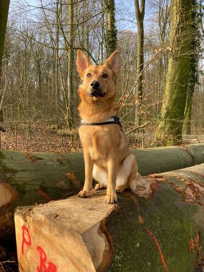 Foto Challenge Nr. 79-Beitrag-Bild