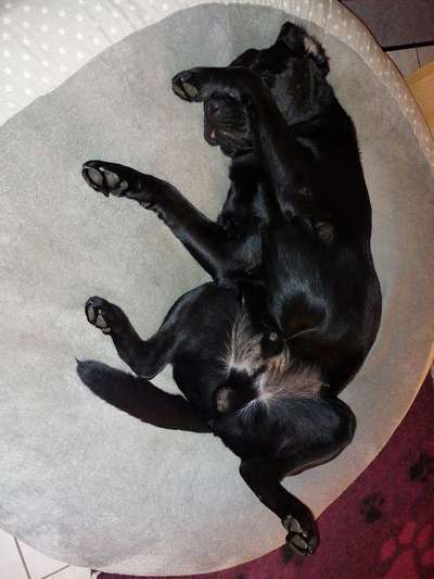 Fotochallenge Nr.105  Glücksmomente-Beitrag-Bild