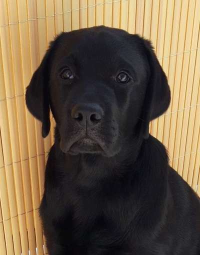 Lieblingsbild-Beitrag-Bild