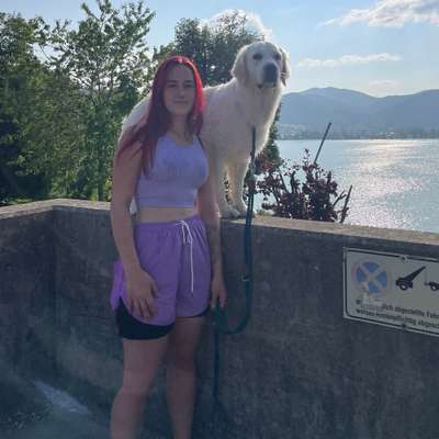 Hundetreffen-Spielrunde