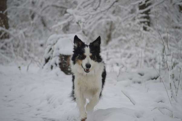 Lieblingsbild-Beitrag-Bild