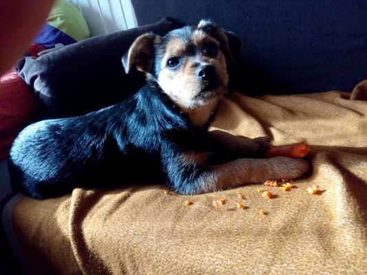 Sie werden so schnell erwachsen ...-Beitrag-Bild