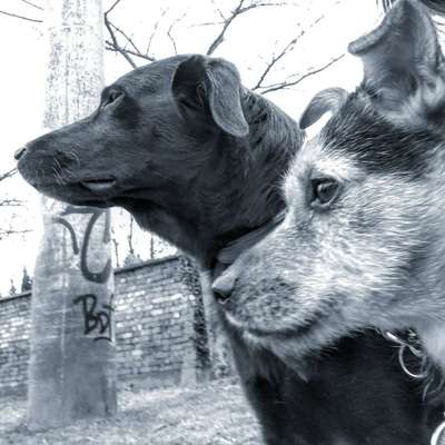 Eure schönsen-Beitrag-Bild